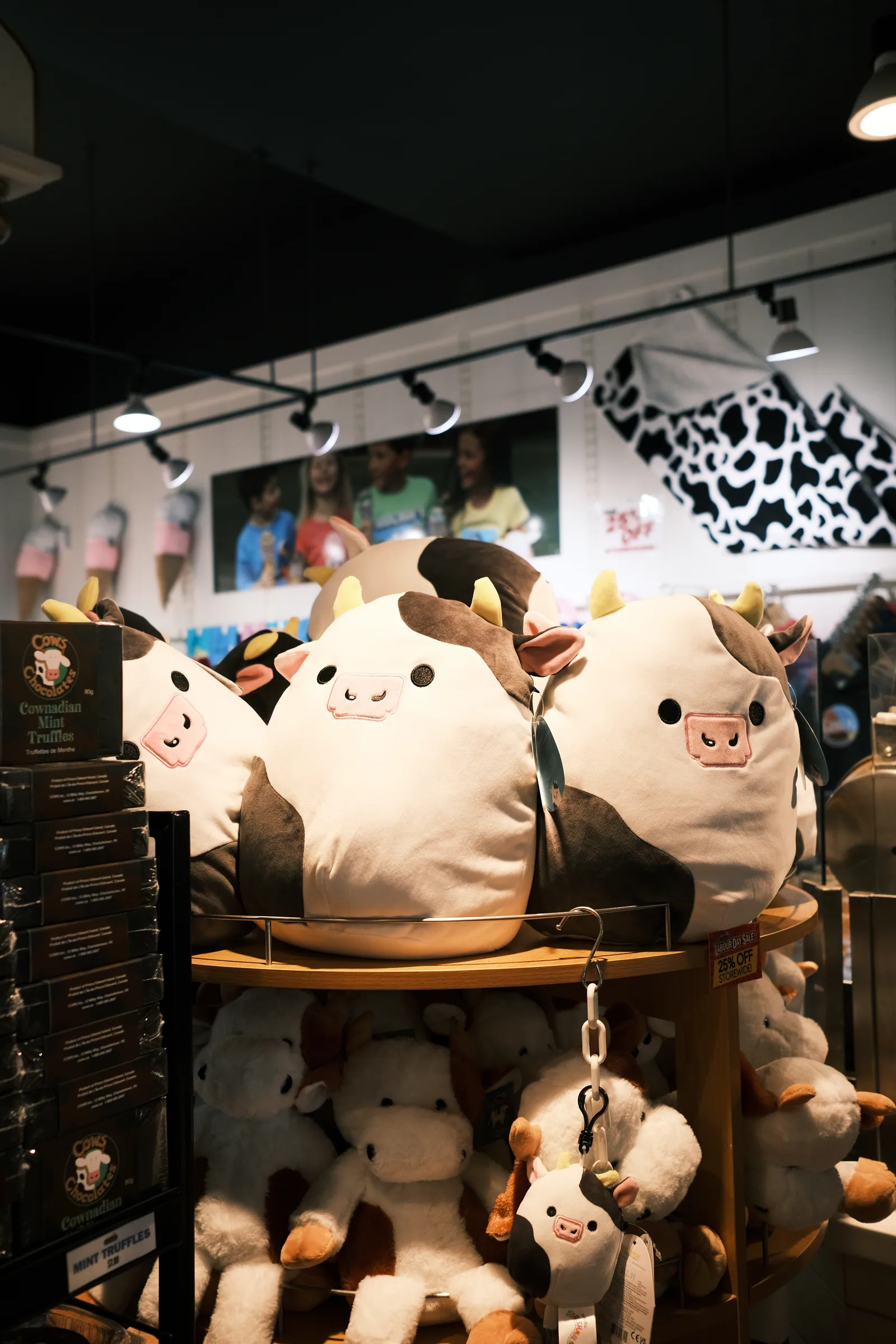 Plush toys in a shop window