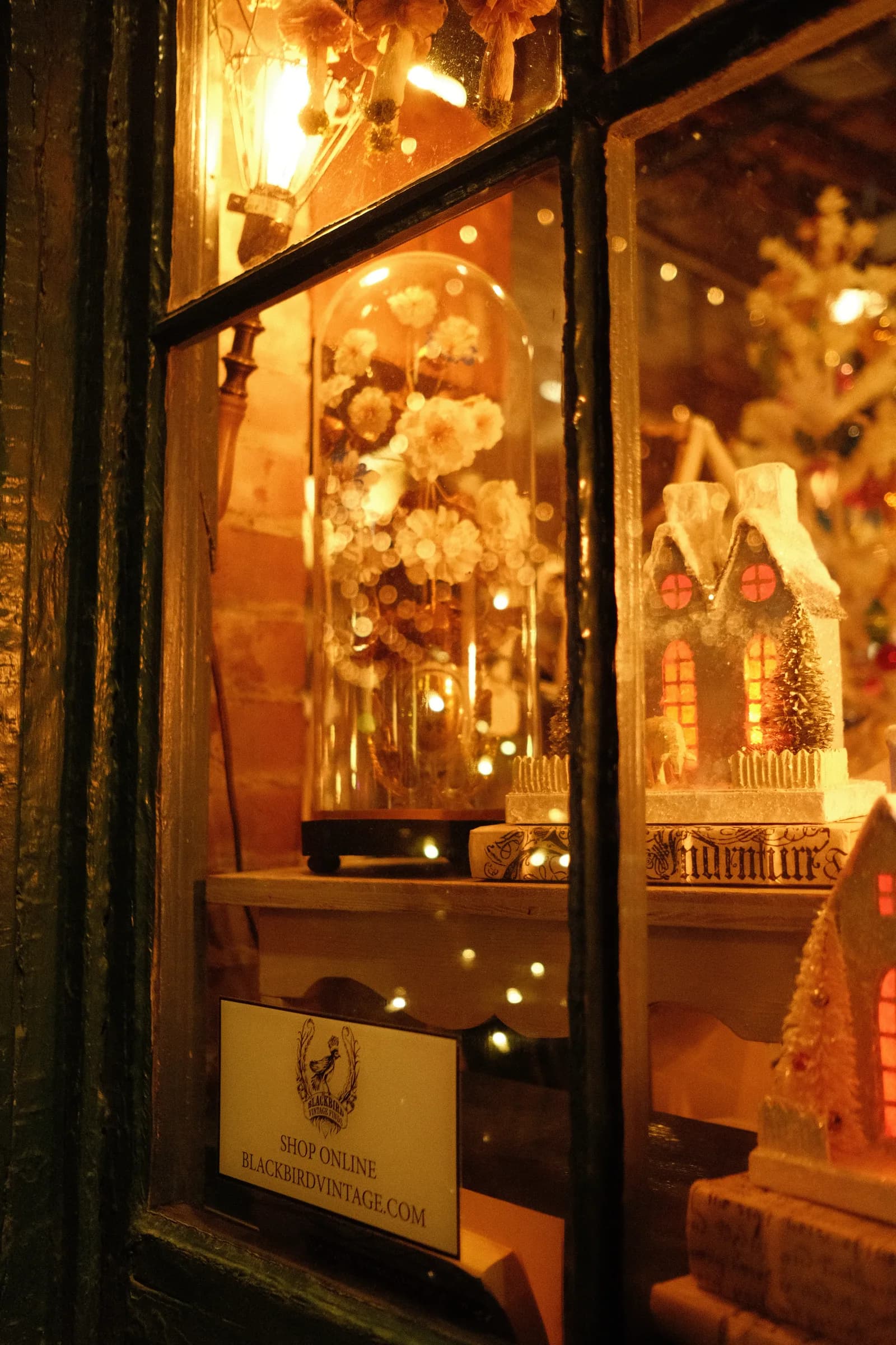 A warmly lit shop window