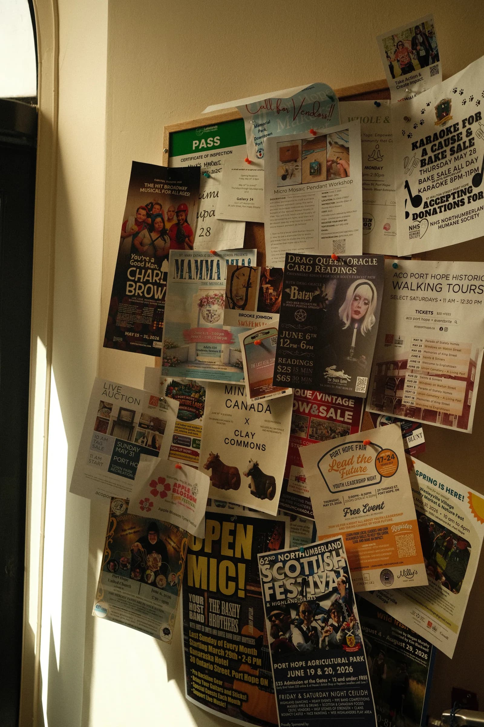 Posters and notices on a wall
